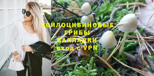 первитин Алексин