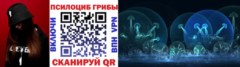 MEGA ТОР Циолковский Псилоцибиновые грибы Psilocybine cubensis