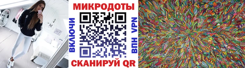 Галлюциногенные грибы Psilocybe Циолковский